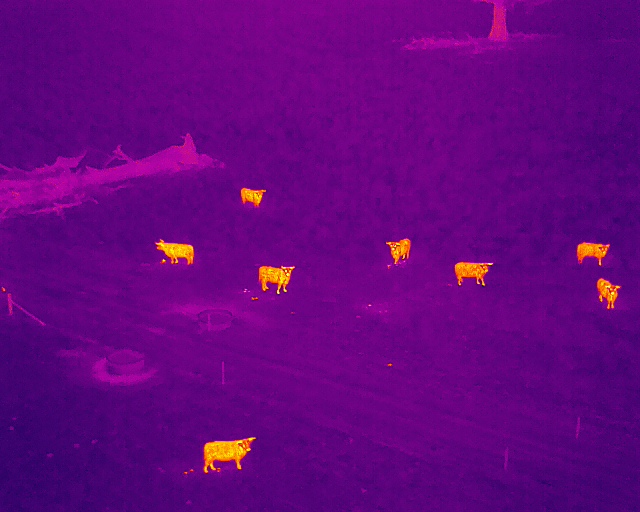 Thermal Imaging and Drones