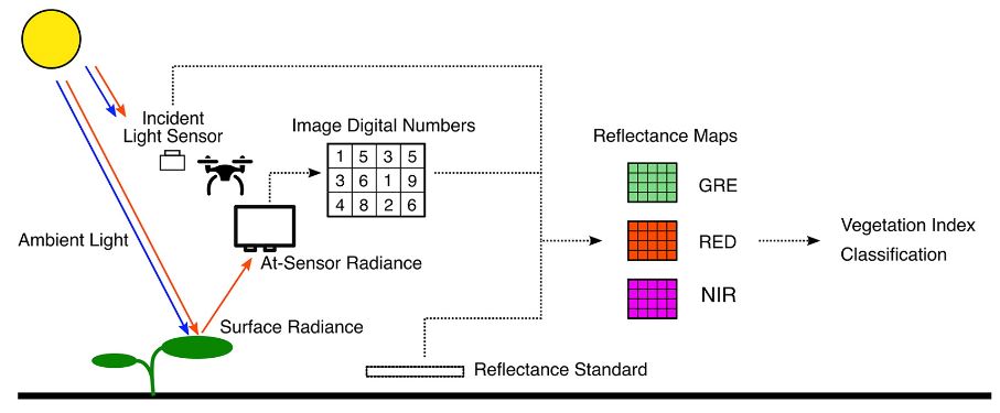 Diagram of Multispectral Imaging